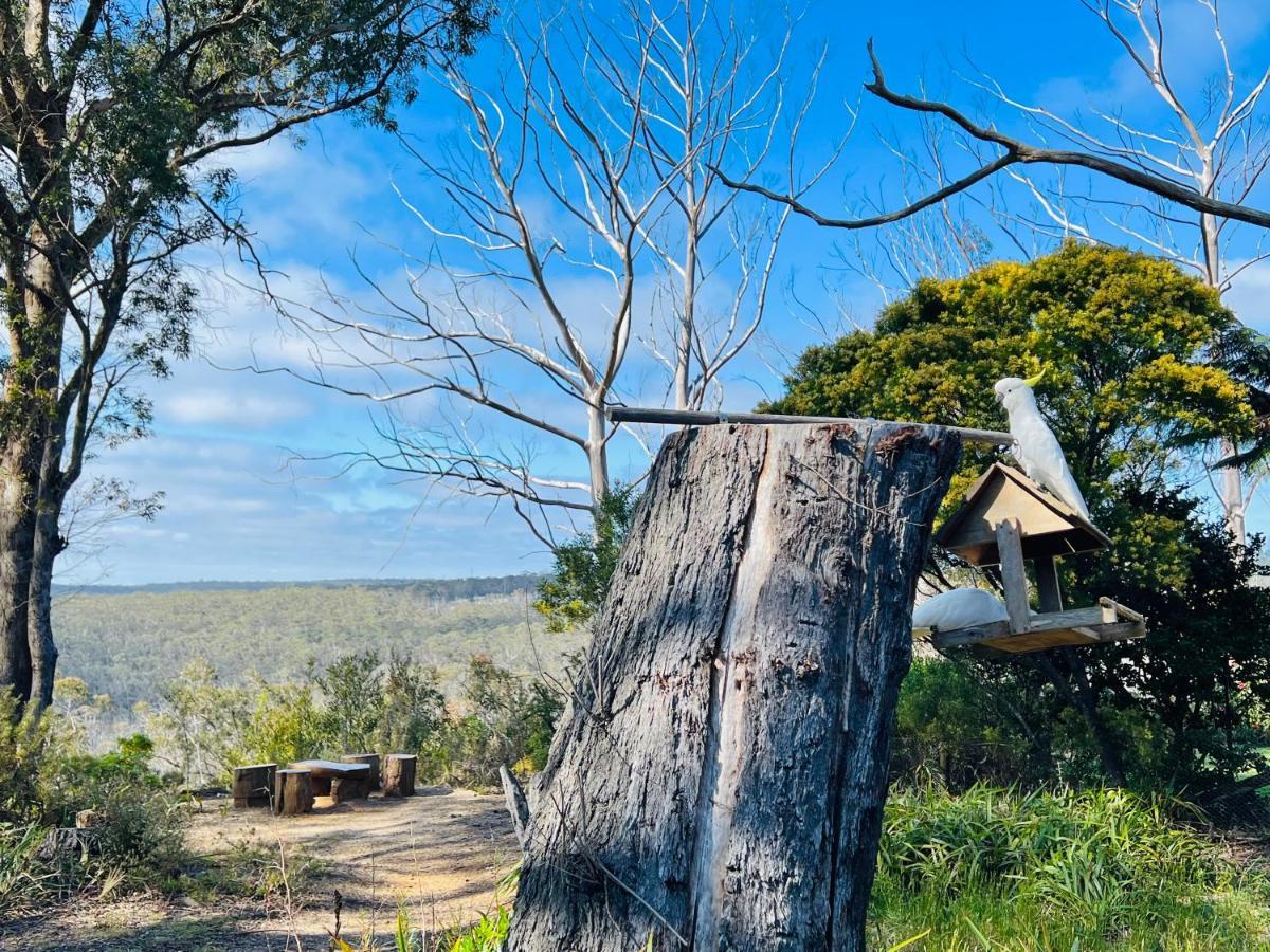 Canyon Cottage Majestic View Blackheath Exteriér fotografie